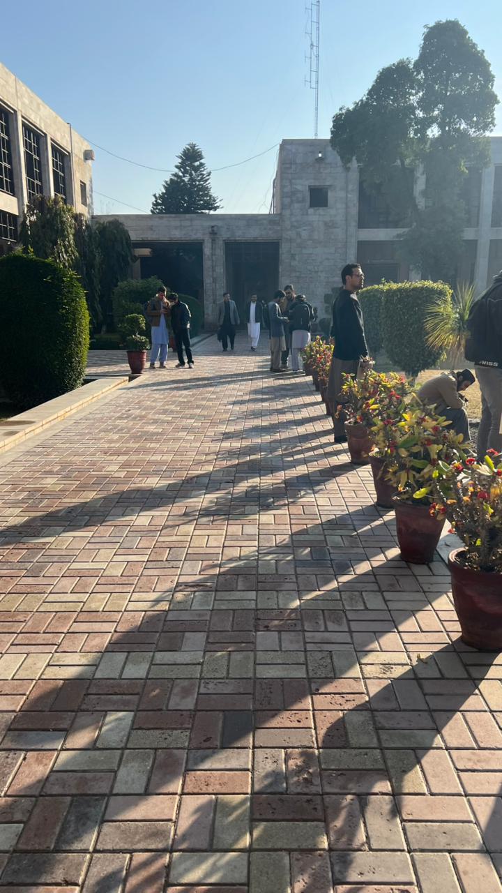 open area walking with friends.jpeg